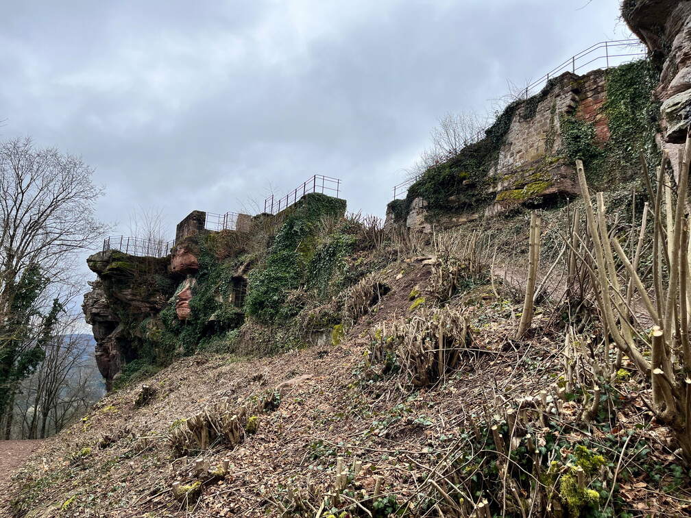 24-03-01 12-29-31 8869